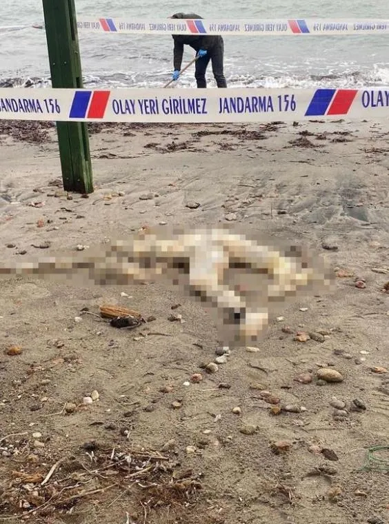sahilde-korkunc-manzara-gorenler-gozlerine-inanamadi-basi-olmayan-erkek-cesedi-bulundu-1704659550527.jpeg Sahilde korkunç manzara! Görenler gözlerine inanamadı: Başı olmayan erkek cesedi bulundu-2