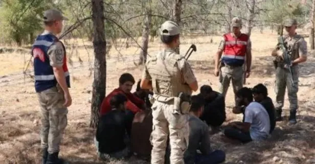 Şanlıurfa’da fıstık bahçesinde saklanan 28 kaçak göçmen yakalandı