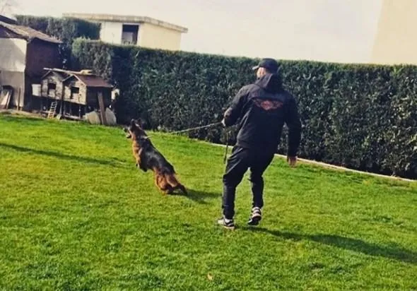 Mehmet Akif Alakurt imaj değiştirdi-4