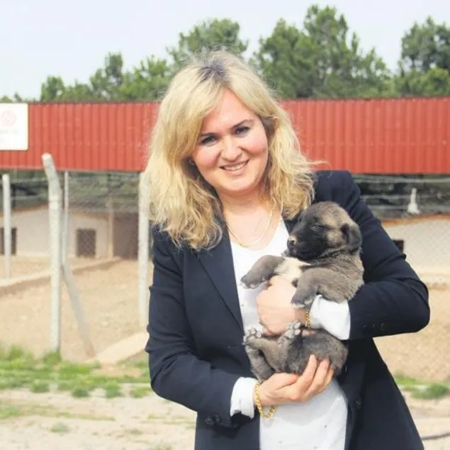 Kangal’ın şifresi