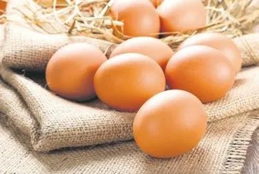 Yumurta üreticilerine ’kartel’ cezası