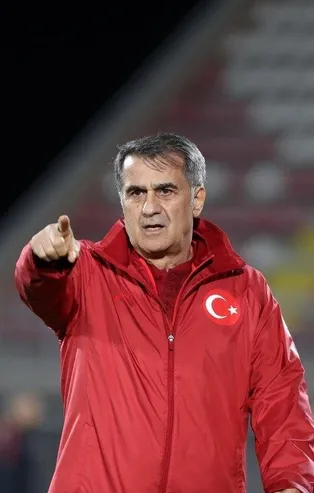 Şenol Güneş: Dünya Kupası ayrı bir dünya