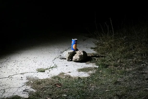 SON DAKİKA: Sivas'ta hareketli gece: Yüksek ses çıkaran havai fişek patlaması vatandaşları tedirgin etti-5