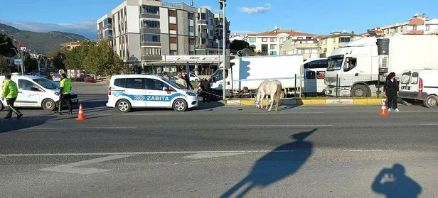 balikesirde-ata-carpan-kadin-surucu-gozyasina-boguldu-1635177760467.jpeg Balıkesir'de ata çarpan kadın sürücü gözyaşlarına boğuldu-4