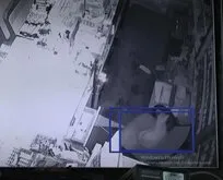 Kahramanmaraş’taki deprem anı kamerada: Dükkanda bulunan kedi 10 saniye önce...