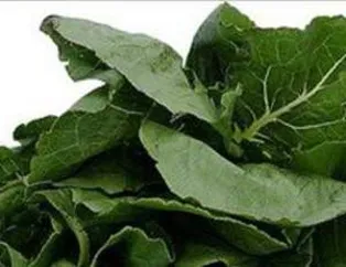 Ispanağın Faydaları