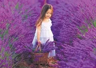 Virüsün kokulu rüyası: Buram buram lavanta kokan Kuyucak’ta COVİD-19’a rastlanmadı Koronavirüs haberleri