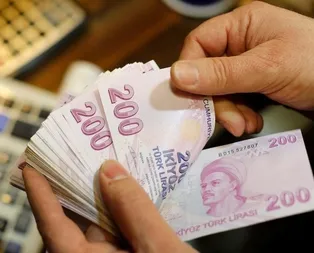 Cezalarla kasaya 11 milyar girecek