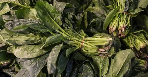 Diyabetin panzehiri pazı