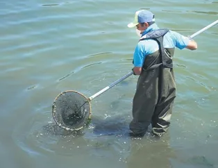 Küçükçekmece G’ölü’