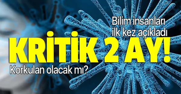Bilim insanları ilk kez açıkladı! Koronavirüste kritik 2 ay! 2.dalga mı geliyor?-1