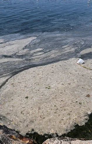 Marmara istila altında! Deniz salyasının (müsilaj) ilk raporu ortaya çıktı! Korkunç sonuç!