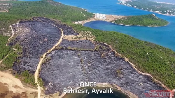 CHP ve yandaşı medyanın yangınlar üzerinden kirli algı oyunu çöktü: 'Otel yapacaklar' dedikleri alanlar tek tek yeşillendirildi - 13