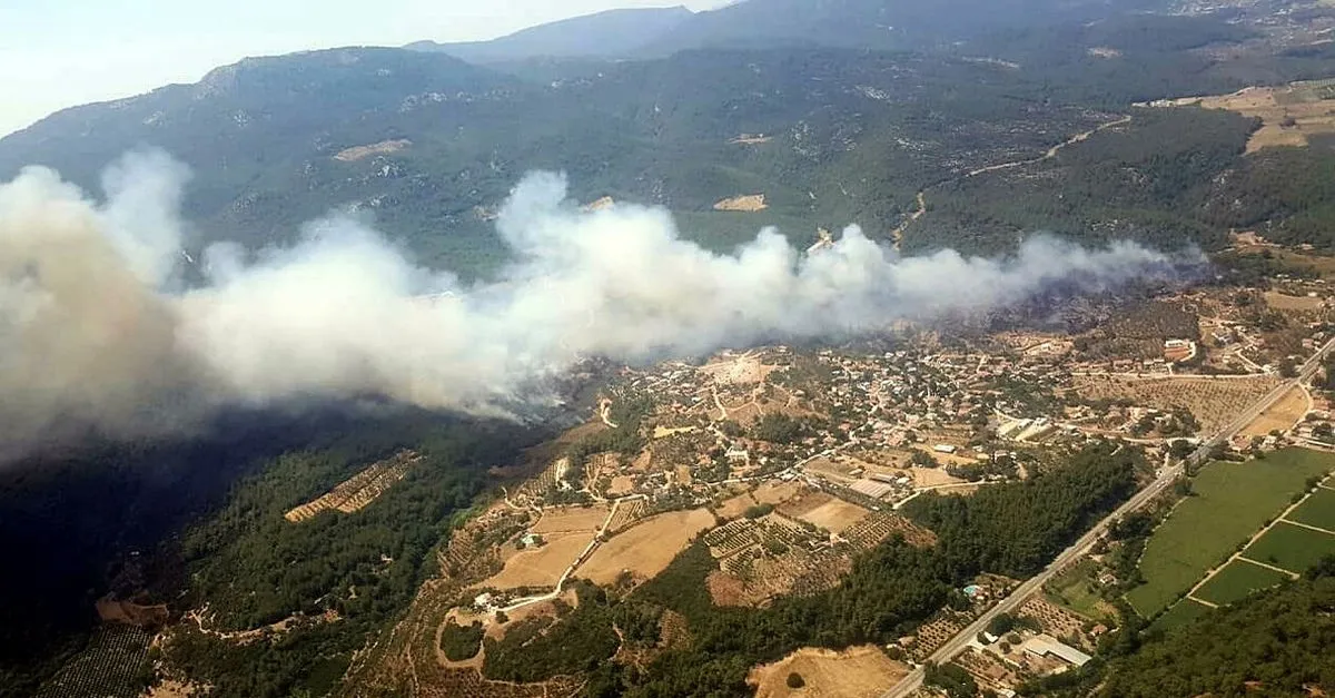 Son Dakika Izmir De Menderes Te Korkutan Orman Yangini Takvim