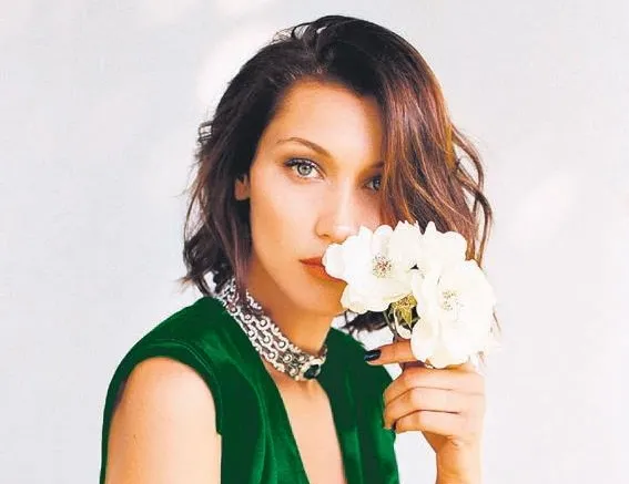 Modelliği bıraktı