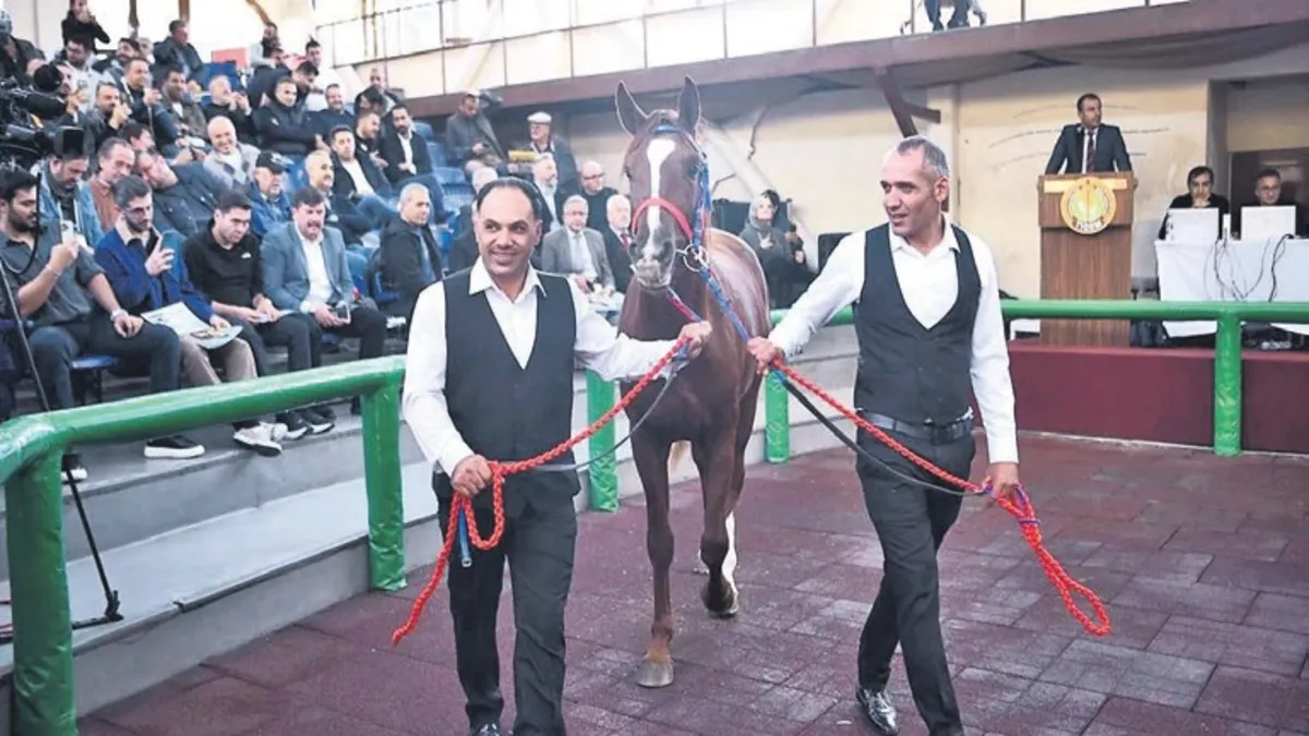 TİGEM tayları Veliefendi’de satışa çıktı: ‘Hızlı Yasin’ 10,5 milyon liraya alıcı buldu