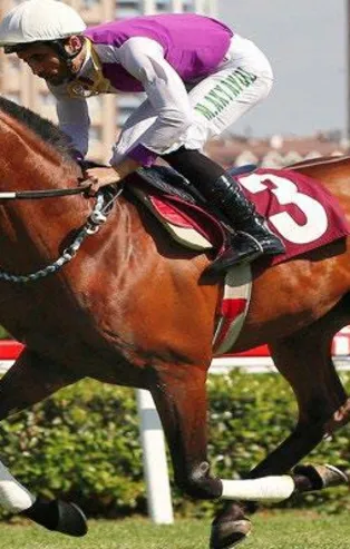 Arap atı sahipleri ve yetiştiricileri arasında Kaizbert tartışması