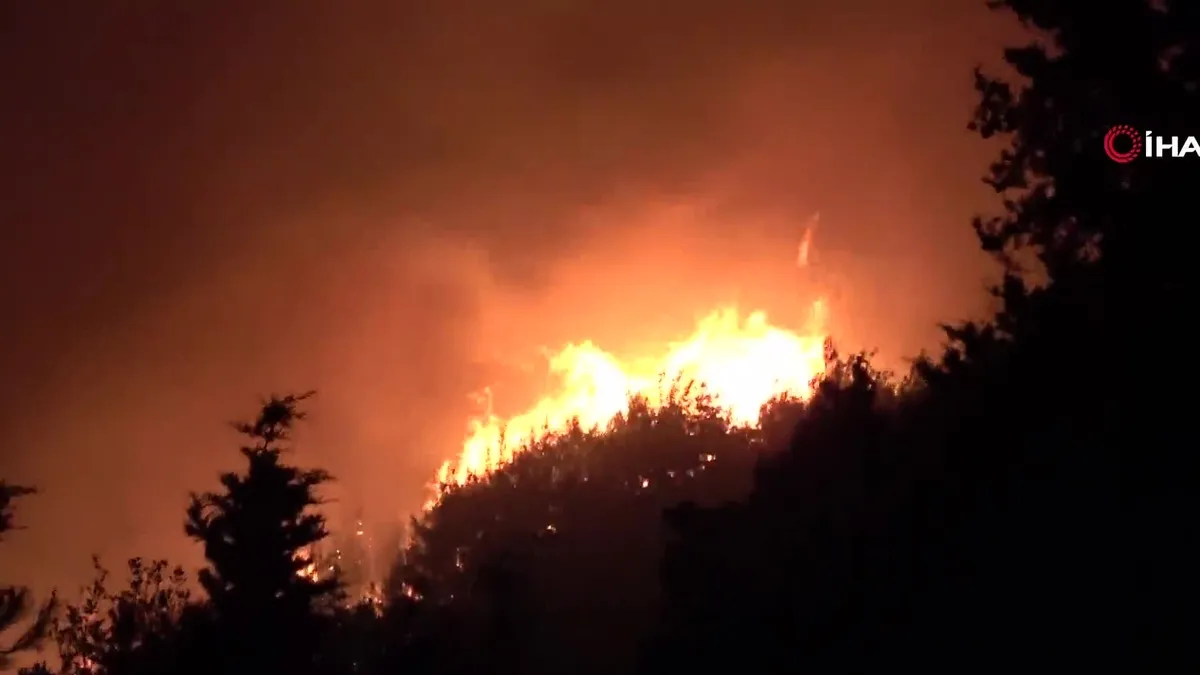 Çanakkale'nin ciğerleri yandı! Tam 952 futbol sahası büyüklüğünde alan yandı