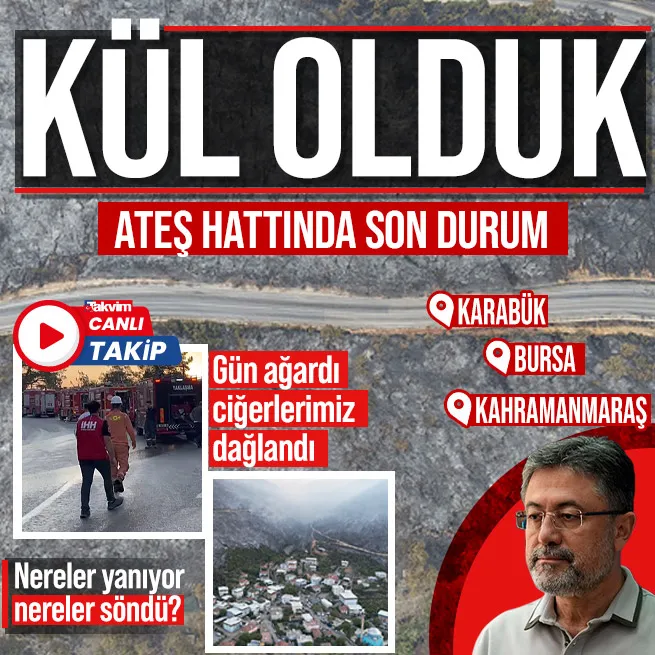 Orman yangınlarında son durum! Bursa, Kahramanmaraş, Karabük... Felaketin boyutu gün ağarınca ortaya çıktı