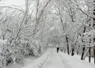 Bugün 18 Aralık okullarda kar tatili var mı? Erzurum, Ağrı, Kars, Karaman, Muş, Gümüşhanede okullar tatil mi? Valilik son dakika...