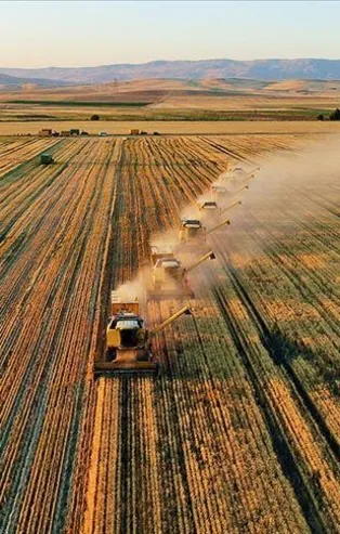 Ucuz gıda için dört koldan destek: Gelir vergisi kesintisi son buldu!