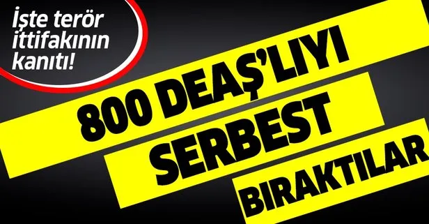 PKK/YPG en az 800 DEAŞ'lıyı serbest bıraktı!