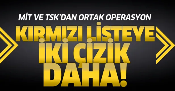 Son dakika: MİT ve TSK'dan ortak operasyon