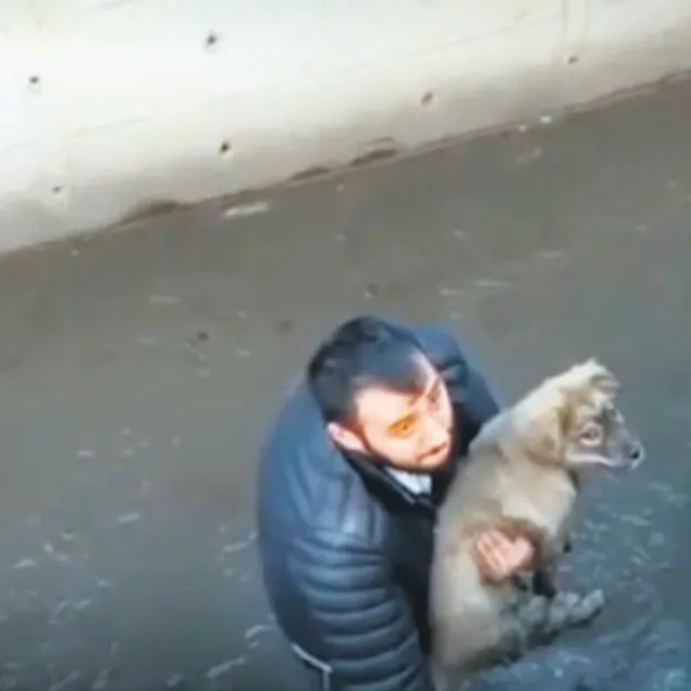 Dogru hareket