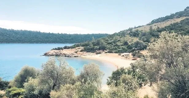 Bodrum'daki 7.7 milyarlık vurgun teşebbüsünün sahte patronu alkol bağımlısı bir evsiz çıktı