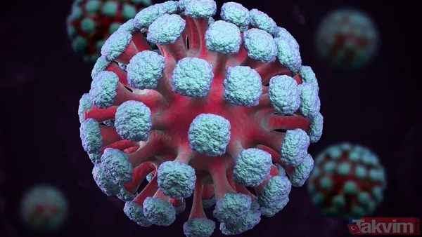 Mutasyona uğramış yeni virüs! Vakalar 3 katına çıktı: Uzmanlar “Böylesi daha önce görülmedi…” - 9