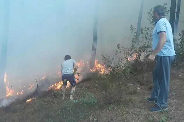 Son dakika: Maltepe'de ormanlık alanda yangın