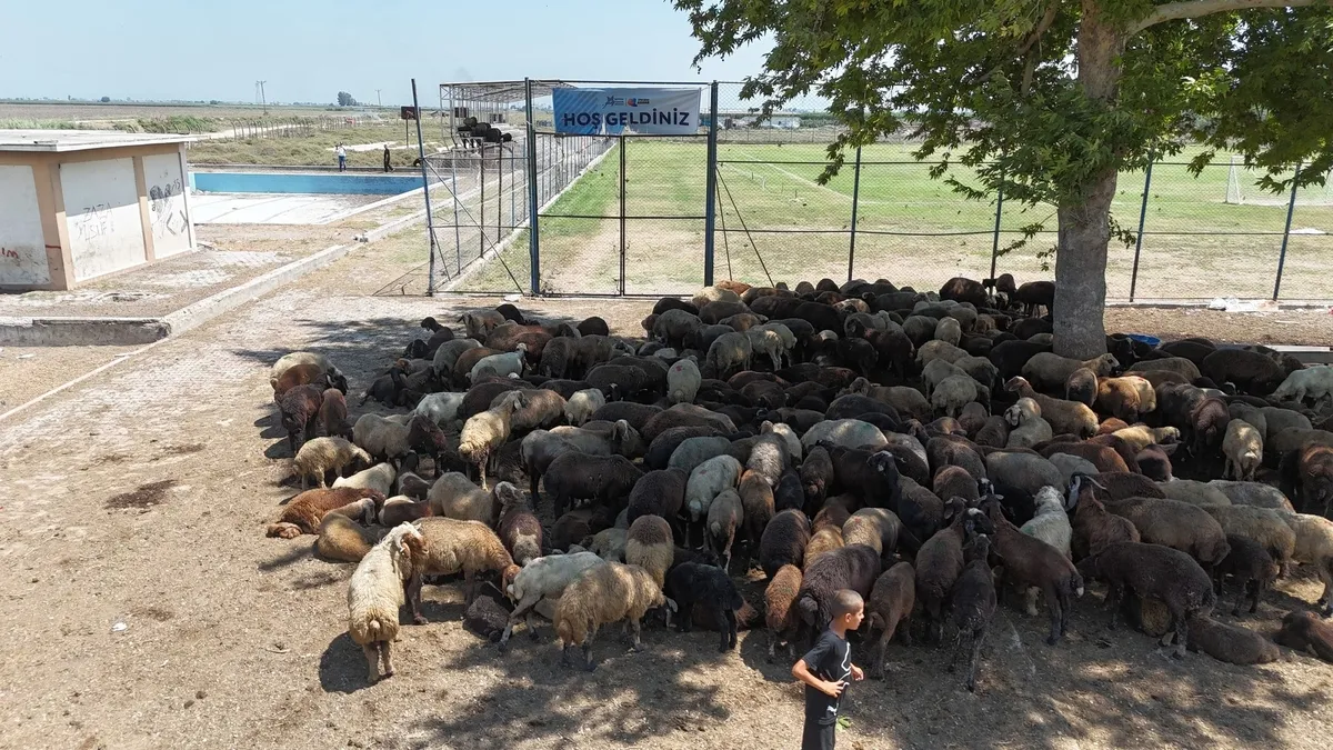 1784619280642.jpeg 14 can kaybına rağmen... CHP'li Adana Büyükşehir Belediyesi'nin atıl durumda bıraktığı havuza vatandaşlardan tepki-5