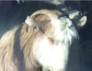 Yurdum insanından pratik çözümler