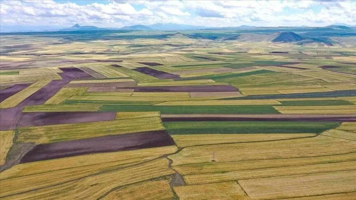 Arsa yatırımı yaparken dikkat!