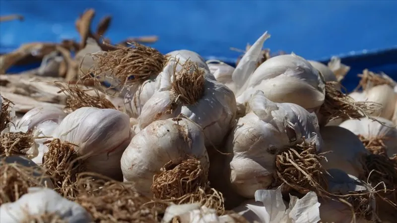 3-malzemeyle-yaldir-yaldir-kilo-verin-gobegi-balon-gibi-sisenlere-duyurulur-aninda-dumduz-edecek-1722788287221.jpg Cayır cayır kilo verdiriyor! 3 malzemeyle anında dümdüz edecek! En hızlı kilo verme yöntemlerini arayanlar buraya-4