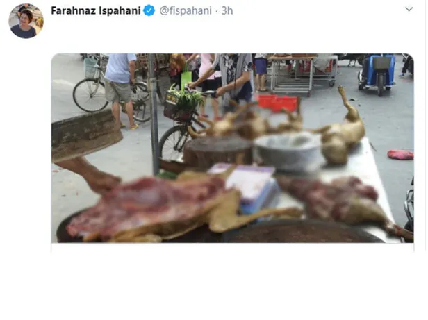 İngiliz Guardian'dan şoke eden makale: KOVID-19 daha başlangıç!-7