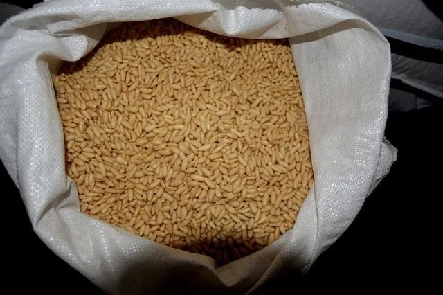 Zayıflatan 27 süper gıda listesi! - 10