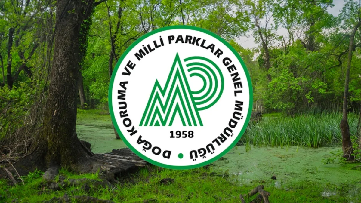 Tarım ve Orman Bakanlığı 20 sözleşmeli personel alacak! DKMP işçi alımı kadroları neler?