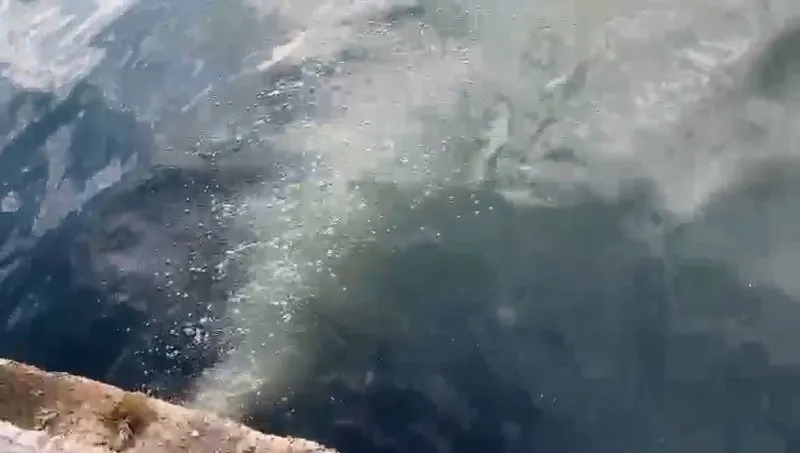 İSKİ Kuleli'yi böyle kirletiyor (Takvim.com.tr)