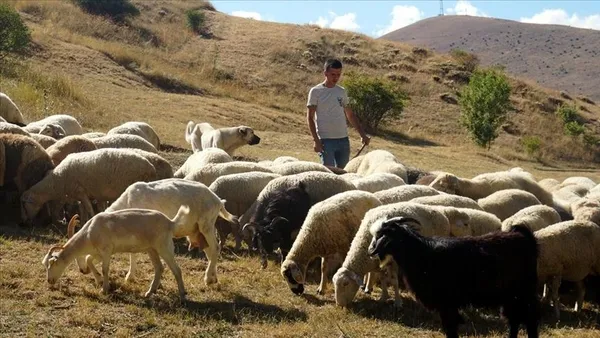 is-ariyorsaniz-dikkat-5-bin-tl-maasa-calisacak-kimse-bulunamiyor-kursa-gitmek-yeterli-1617651586816.jpg İş arıyorsanız dikkat! 5 bin TL maaşa çalışacak kimse bulunamıyor! Kursa gitmek yeterli...-6