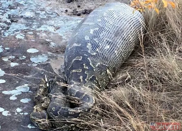 Duvarın içinden gelen seslerden ilallah etti sonunda paramparça etti! Gördükleri karşısında kalbi yerinden çıkacaktı - 12