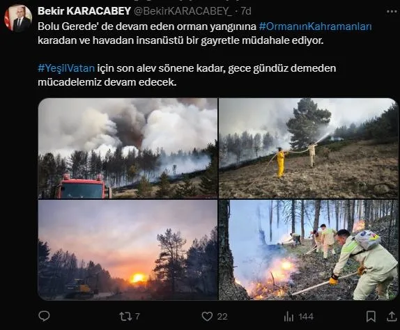 Ankara'da başladı Bolu'ya sıçradı! Gerede'deki orman yangını kontrol altına alındı-13