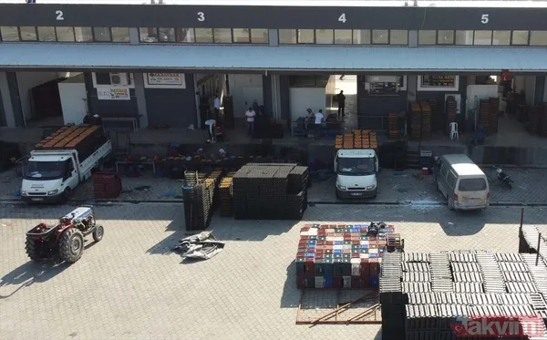 Cennet hurmasında yaş olanın fiyatı 6 kuru olanın fiyatı 50 TL! Almanlar kuru Ruslar yaş tercih ediyor - 9