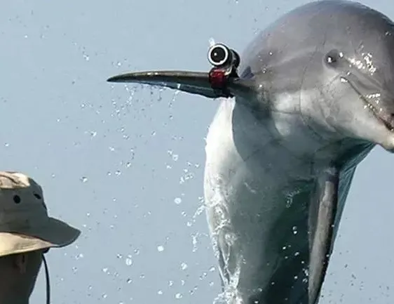 ’Yunus askerler’ görevde!