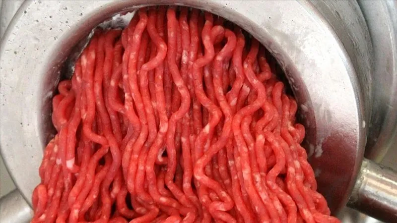 1709697398331.jpeg Ramazan fırsatçılarına ayar verildi! Kıyma ve kuşbaşı fiyatları sabitlendi-6