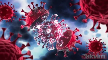 Son dakika: 6-12 Haziran tarihlerini kapsayan haftalık koronavirüs verileri açıklandı! Son durum ne? Vaka, vefat ve aşı...