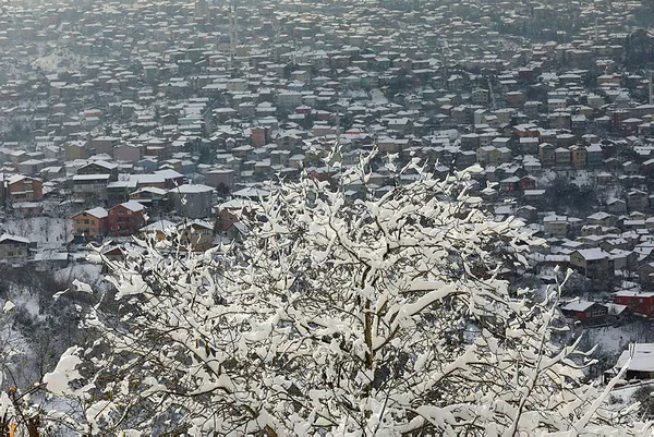 SON DAKİKA: İstabul'da kar yağacak mı? İstanbul'da kar yağışı tekrar başladı! 19 Ocak hava durumu-3