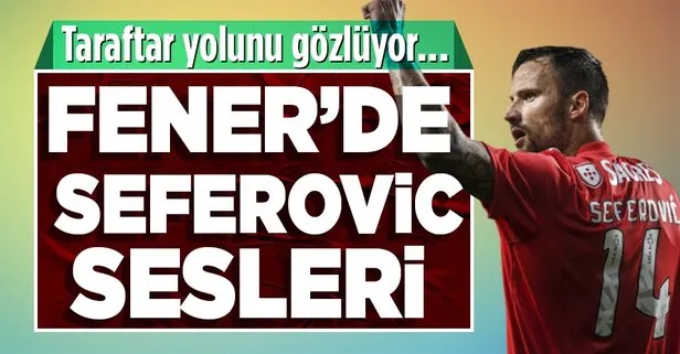 Fenerbahçe golcü transferi için sona yaklaşıyor! İsviçreli Seferovic ile temaslarını hızlandırdı