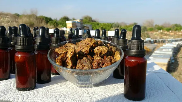 Koronavirüs sonrası talep patlaması! Bir litre propolis 10 bin liradan satılıyor!-5