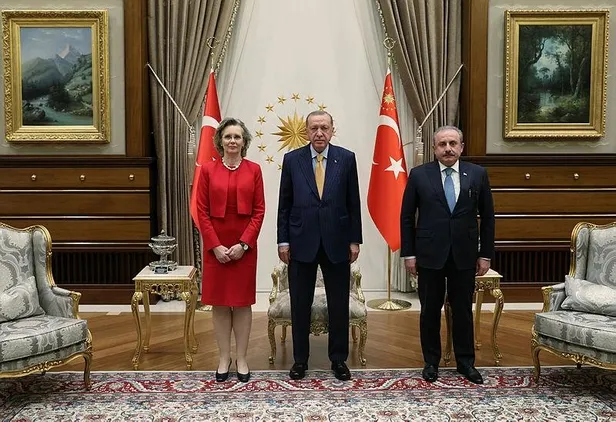 baskan-erdogan-agitpa-baskani-margareta-cederfelti-kabul-etti-1636470661556.jpeg Başkan Erdoğan, AGİTPA Başkanı Margareta Cederfelt’i kabul etti-1